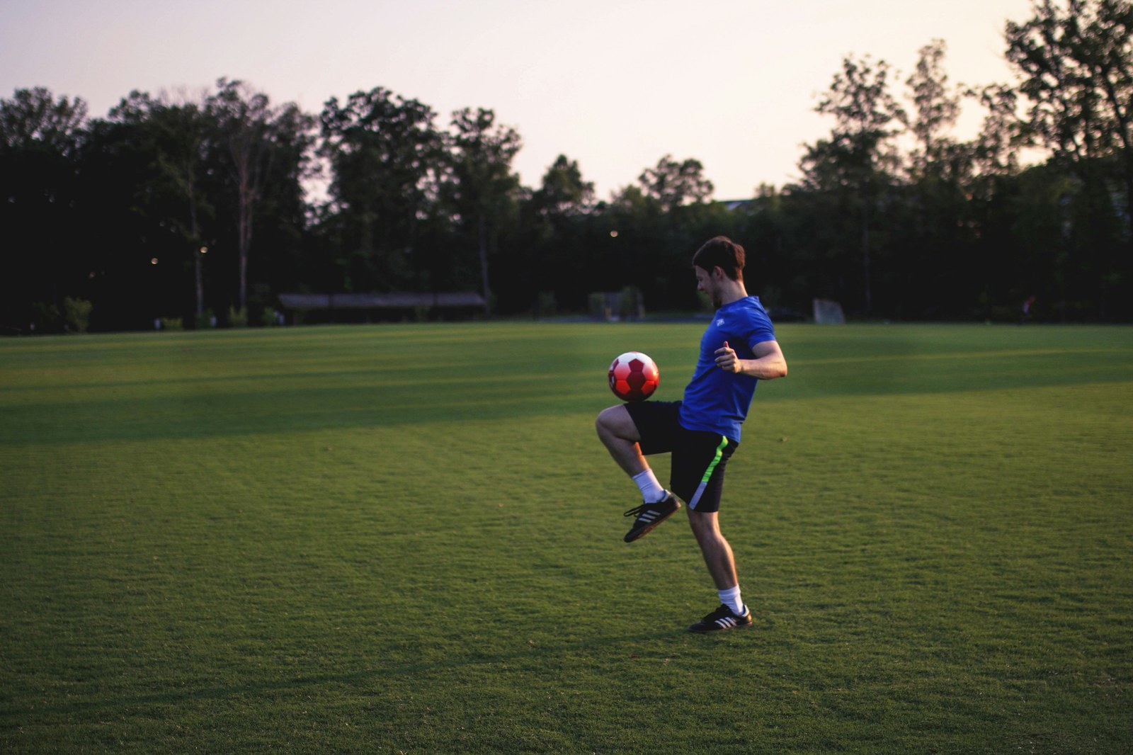 6T体育 · 体育栏目服务配图（示意）